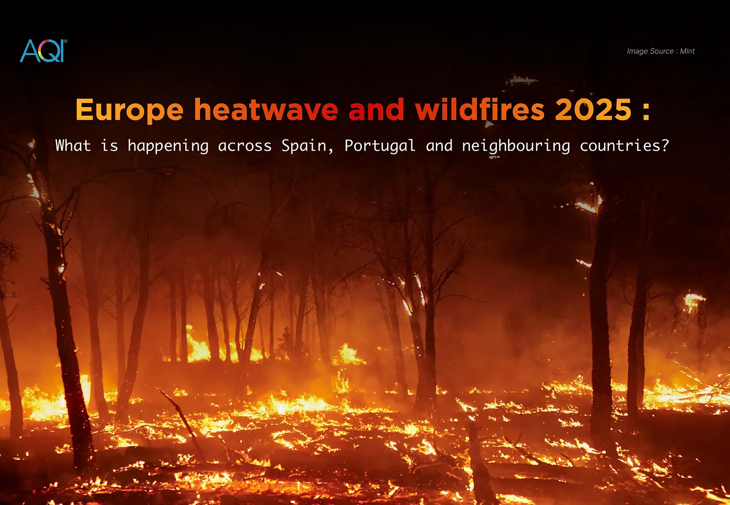 Europe heatwave and wildfires 2025: What is happening across Spain, Portugal and neighbouring countries?